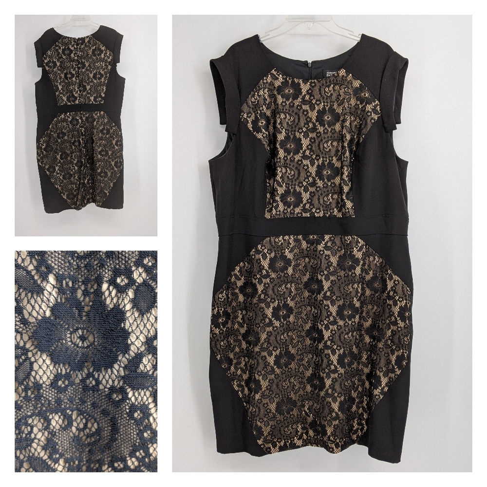 Lace Overlay Knee Length Elegant Black Dress 22W